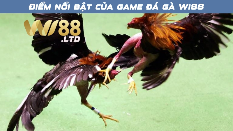 Những ưu điểm nổi bật của sảnh đá gà Wi88