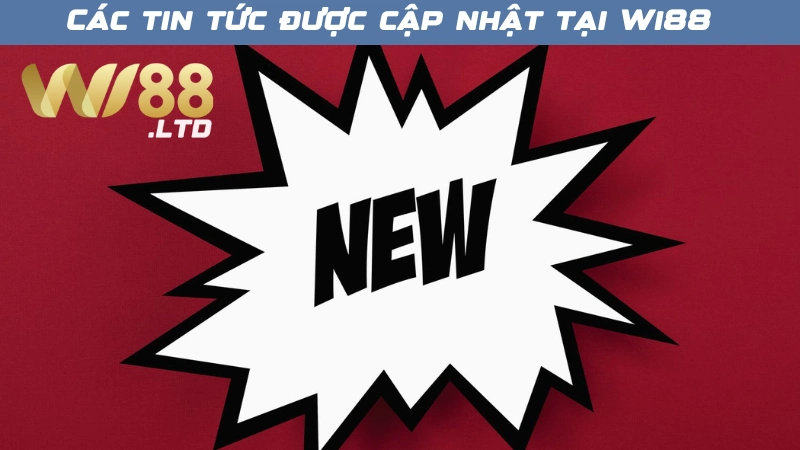 Các tin tức được cập nhật tại Wi88