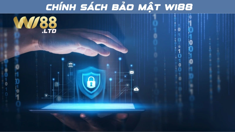 Trách nhiệm và nghĩa vụ của người chơi và nhà cái Wi88