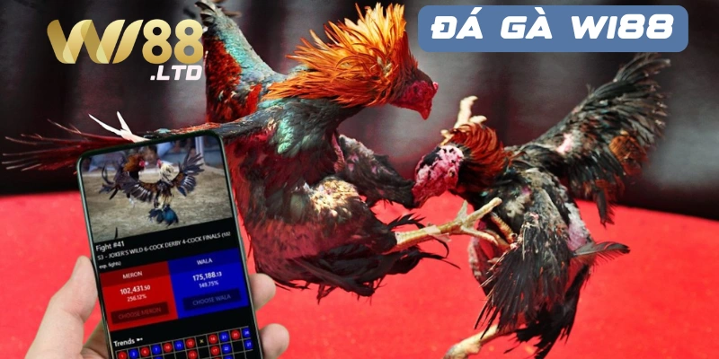 Các kinh nghiệm đá gà Wi88 hiệu quả nhất cho người chơi