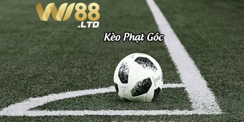 Kèo phạt góc Wi88 là gì?