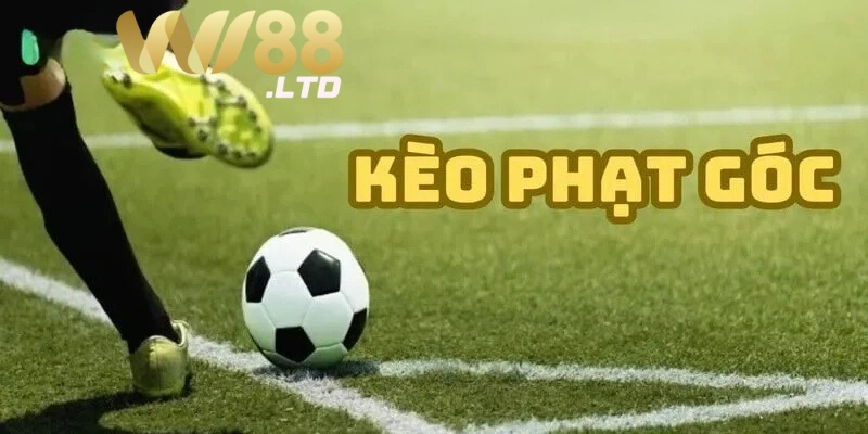Cách đặt cược kèo phạt góc Wi88 dễ thắng