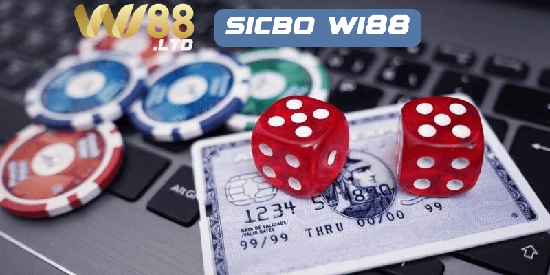 Khám phá các loại kèo trong Sicbo Wi88