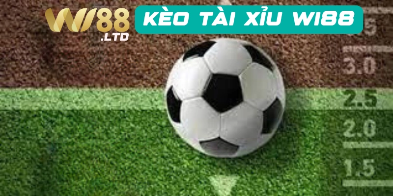 Những loại kèo bóng đá Tài Xỉu phổ biến