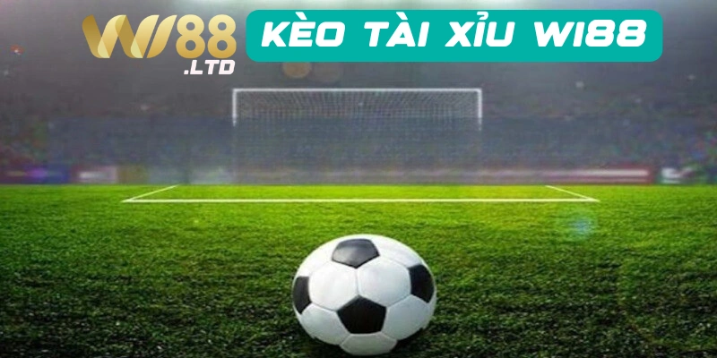 Mẹo chơi cá cược kèo Tài Xỉu Wi88 thắng lớn